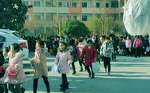 我难忘的小学生活作文