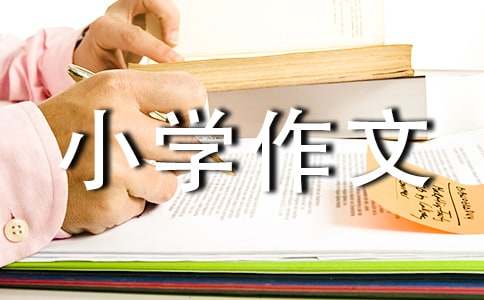 我喜欢的小动物小学作文