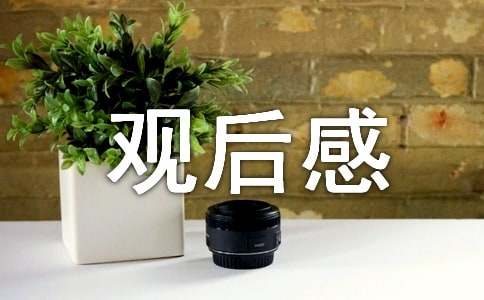 最新《不说话的爱》观后感（精选12篇）