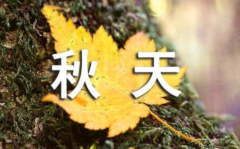 秋天的落叶小学作文