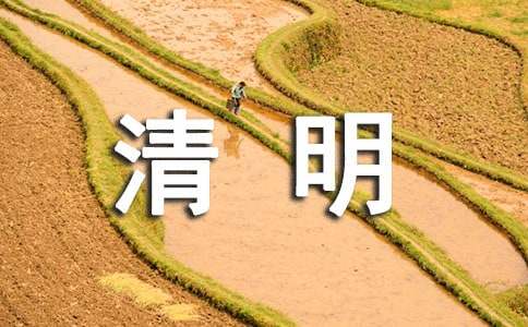 三年级清明节优秀作文
